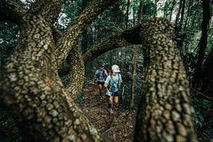 BIB: 
                            <button type="button" onclick="openModal(25392808)" class="btn btn-primary btn-sm float-right btn-popup" data-toggle="modal" data-target=".modal-high-quality">
                        <i class="fas fa-shopping-cart"></i> Add to Cart
                    </button>
                                            <button type="button" onclick="isThisMe(25392808, true)" class="btn btn-success btn-sm float-right btn-popup btn-isme hidden" data-toggle="tooltip" data-placement="bottom" title="นี่คือรูปของคุณใช่ไหม คลิกที่นี่เพื่อเอาเข้าอัลบั้ม">
                        <i class="fas fa-plus"></i> Add to album
                    </button>
                    <button type="button" onclick="isThisMe(25392808, false)" class="btn btn-warning btn-sm float-right btn-popup btn-isnotme hidden">
                        <i class="fas fa-ban"></i> Remove from album
                    </button>